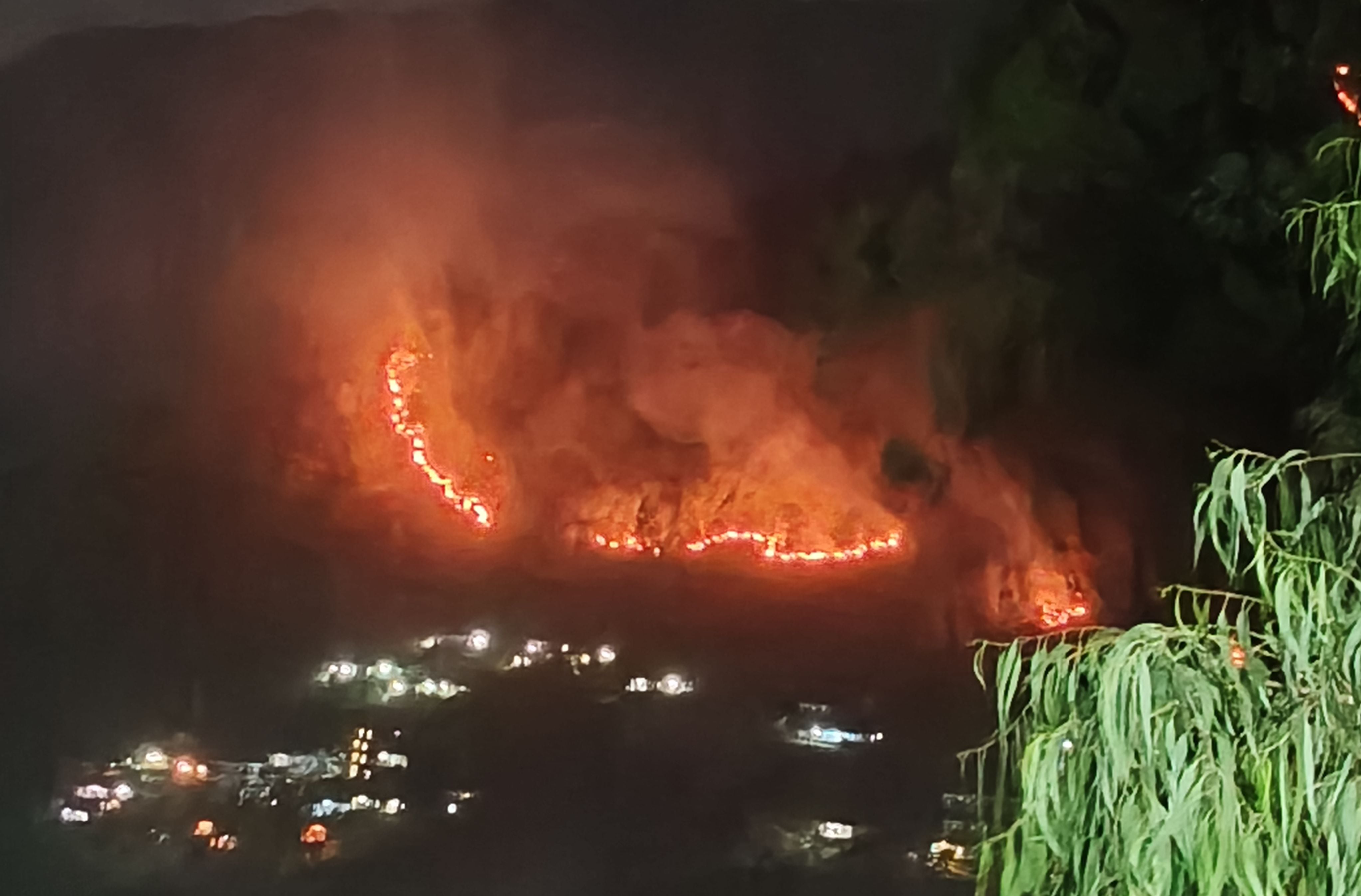दत्तनगर के साथ लगते जंगल में भडक़ी आग से पहुंचा नुकसान। संवाद