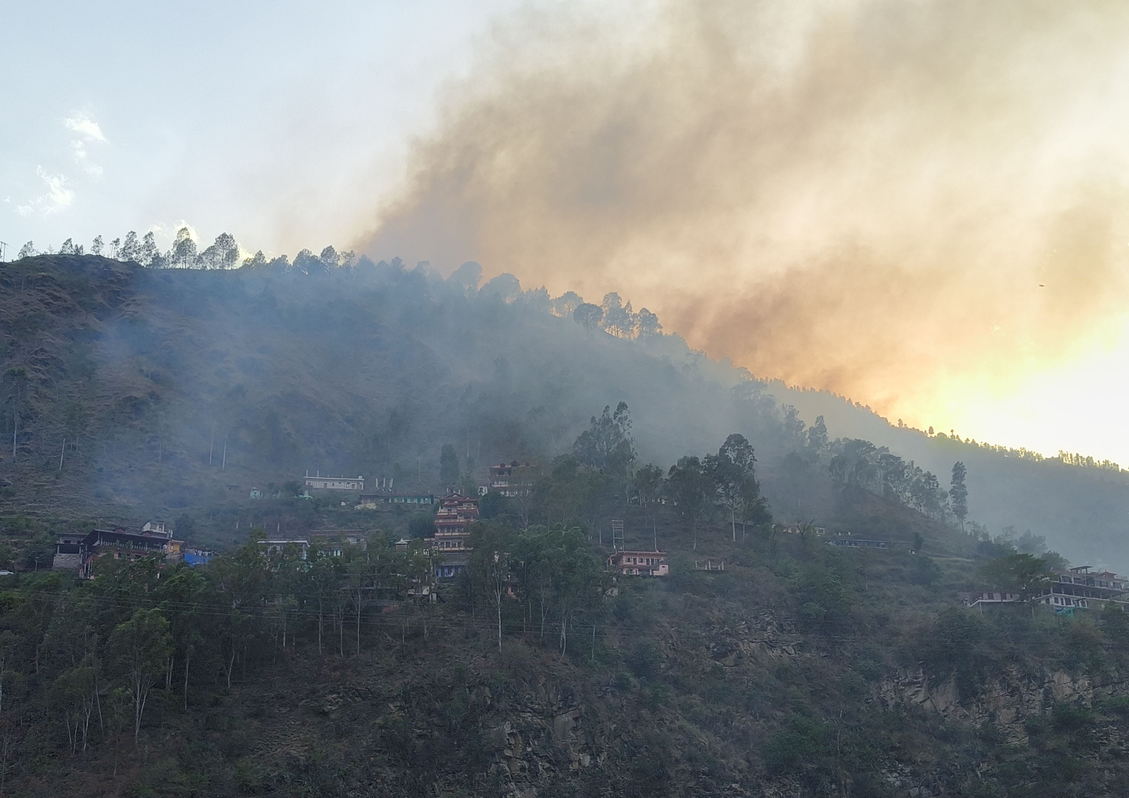 दत्तनगर के साथ लगते जंगल में भडक़ी आग से पहुंचा नुकसान। संवाद