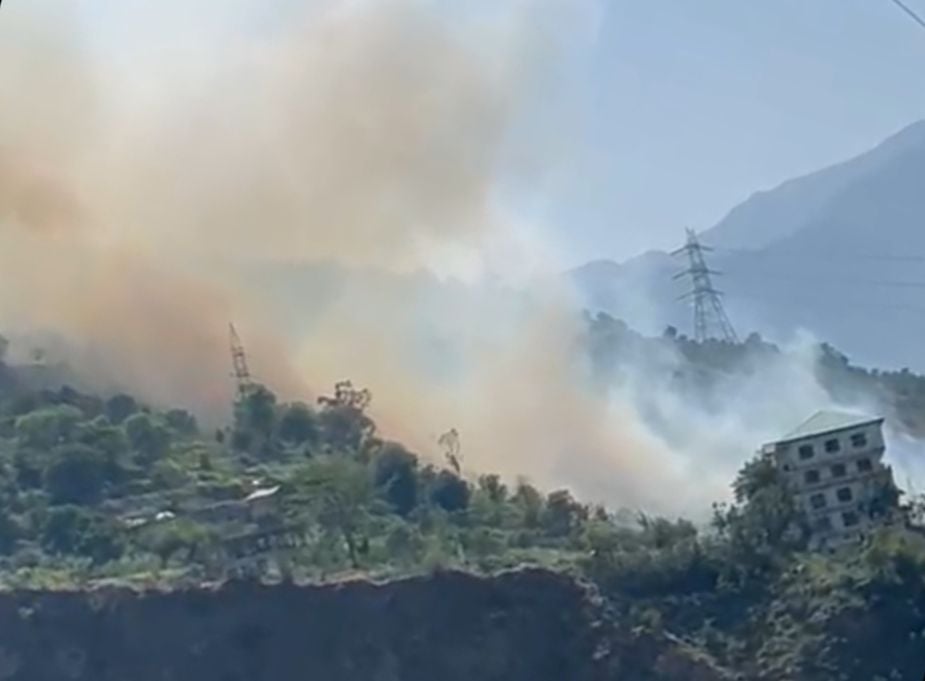 दत्तनगर के साथ लगते जंगल में भडक़ी आग से पहुंचा नुकसान। संवाद