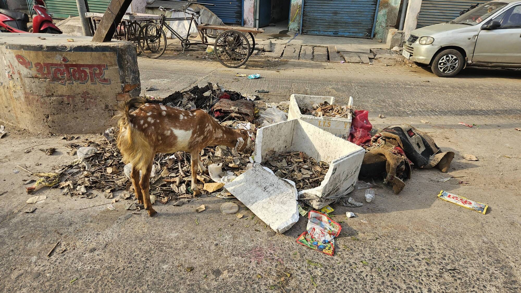 अनपरा नगर के वार्ड नंबर 14 के शापिंग गेट के बगल में भरा कूड़ेदान। संवाद अनपरा नगर के वार्ड नंबर 14 के शापिंग गेट के बगल में भरा कूड़ेदान। संवाद