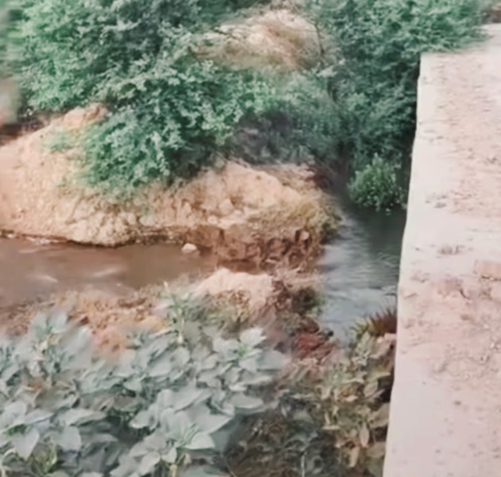 भूना। खेतों में फैला हुआ पानी। संवाद भूना। खेतों में फैला हुआ पानी। संवाद