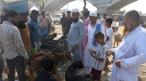 बकरा मंडी में उमड़े खरीदार।