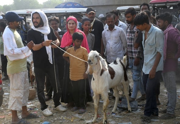 बकरा मंडी में उमड़े खरीदार।