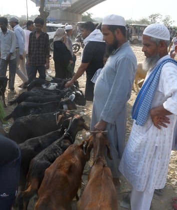 बकरा मंडी में उमड़े खरीदार।