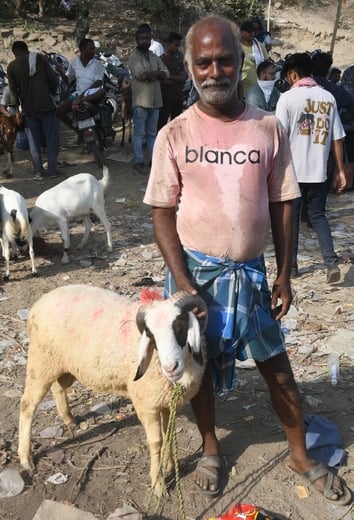 बकरा मंडी में उमड़े खरीदार।