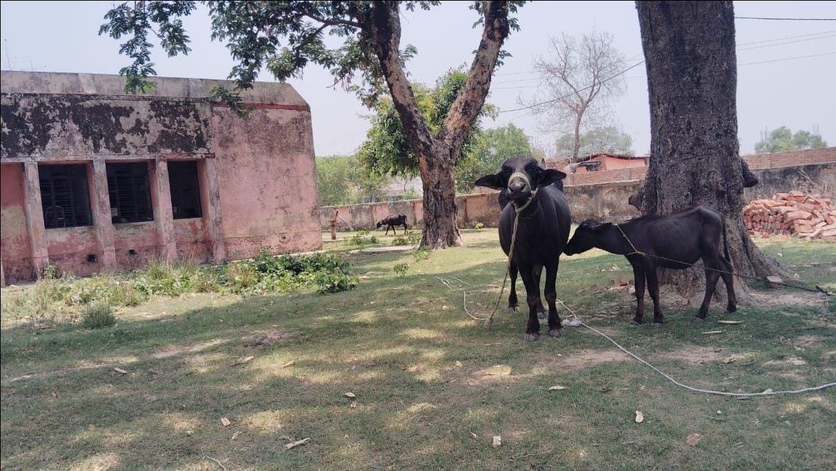 सुबह 11 बजे बंद नेमडाड़ सामुदायिक स्वास्थ्य केंद्र