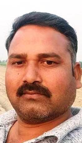 फोटो -10- खेत में खड़ी मूंग की फसल। संवाद फोटो -10- खेत में खड़ी मूंग की फसल। संवाद