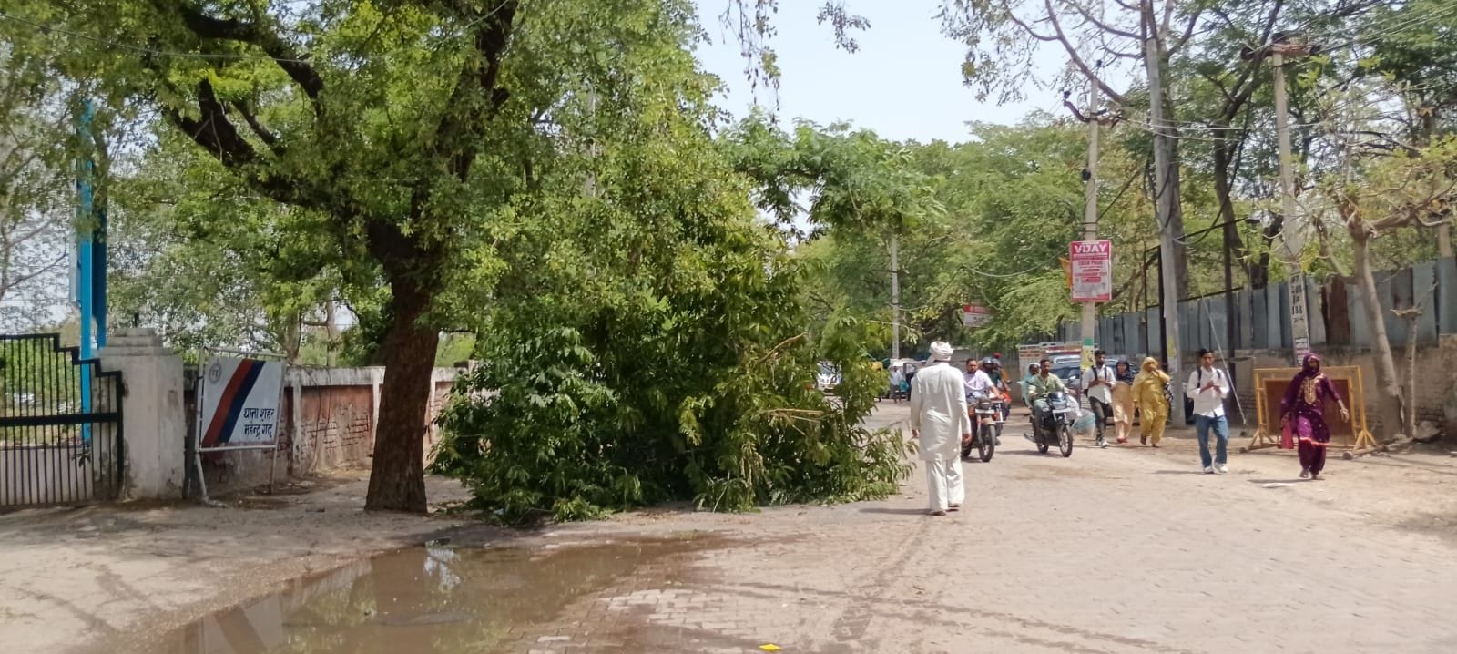 फोटो संख्या:61- सतनाली क्षेत्र में टूटा पड़ा पोल--संवाद