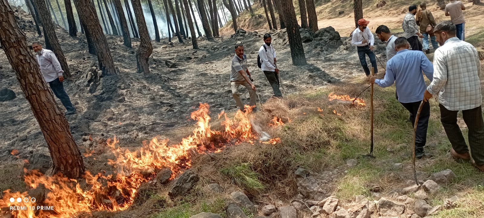 भीषण वन अग्निकांड से राजोरी के सवानी, चटयाड़ और आसपास के क्षेत्रों में भारी नुकसान फोटो स्रोत लो भीषण वन अग्निकांड से राजोरी के सवानी, चटयाड़ और आसपास के क्षेत्रों में भारी नुकसान फोटो स्रोत लो