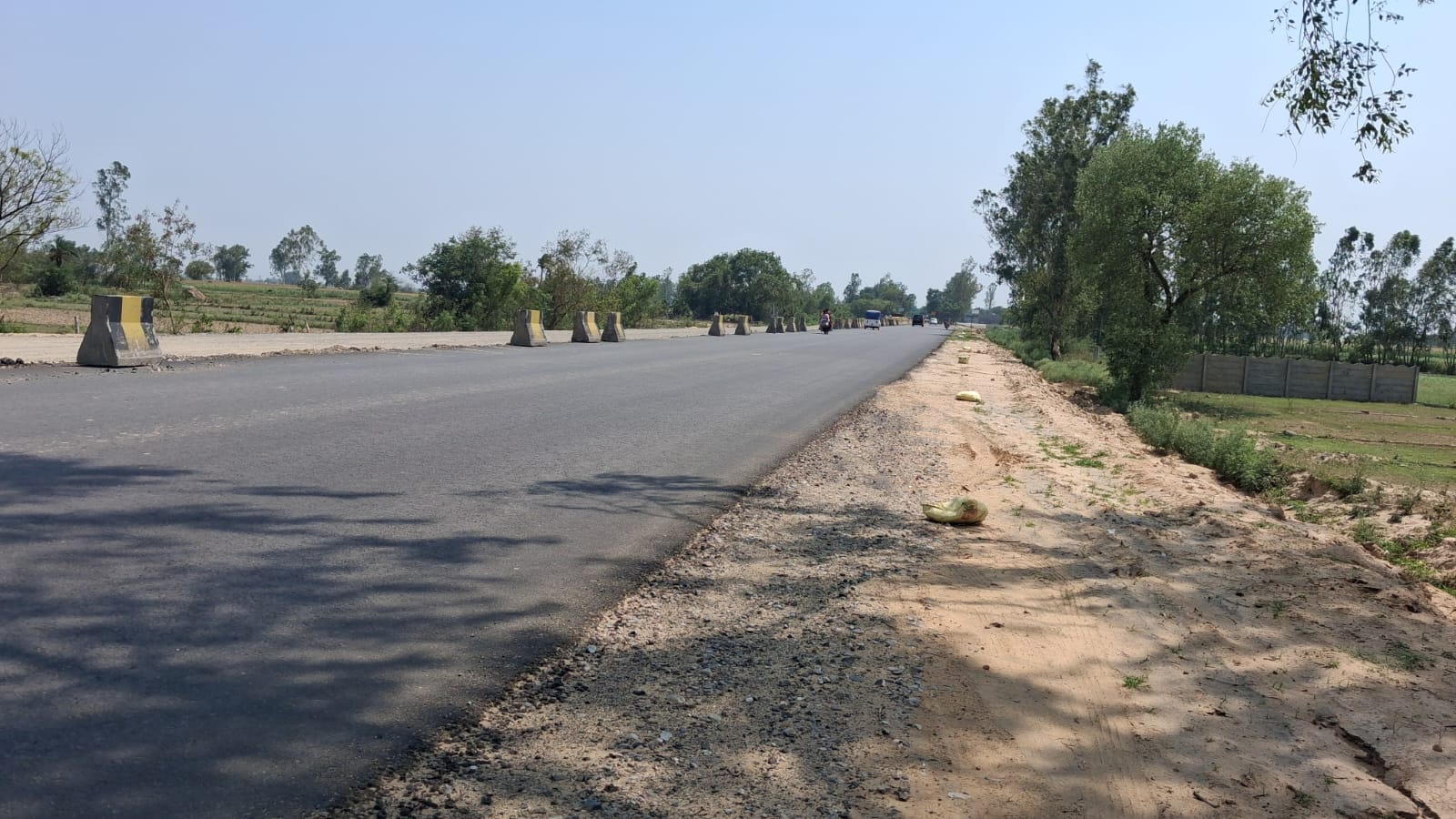 बरेली-मथुरा हाईवे चौड़ीकरण के लिए काटे गए पेड़। संवाद