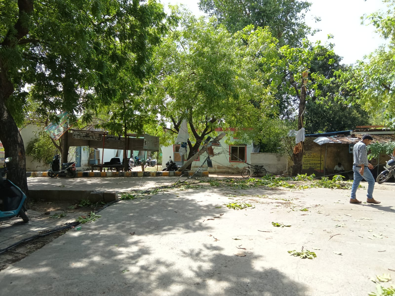 फोटो- 11 आंधी से धरासाई हुआ पीली कोठी रोड स्थित ओवरब्रिज में गिरा यूके लिप्टस का पेड़। संवाद
