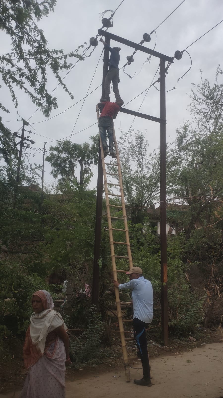 फोटो- 11 आंधी से धरासाई हुआ पीली कोठी रोड स्थित ओवरब्रिज में गिरा यूके लिप्टस का पेड़। संवाद