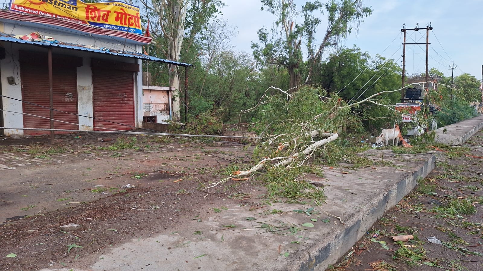 फोटो 29 एचएएमपी 36- सुमेरपुर रेलवे स्टेशन के प्लेटफॉर्म एक में पेड़ गिरने से टूटी बेंच एवं ट्रॉ फोटो 29 एचएएमपी 36- सुमेरपुर रेलवे स्टेशन के प्लेटफॉर्म एक में पेड़ गिरने से टूटी बेंच एवं ट्रॉ