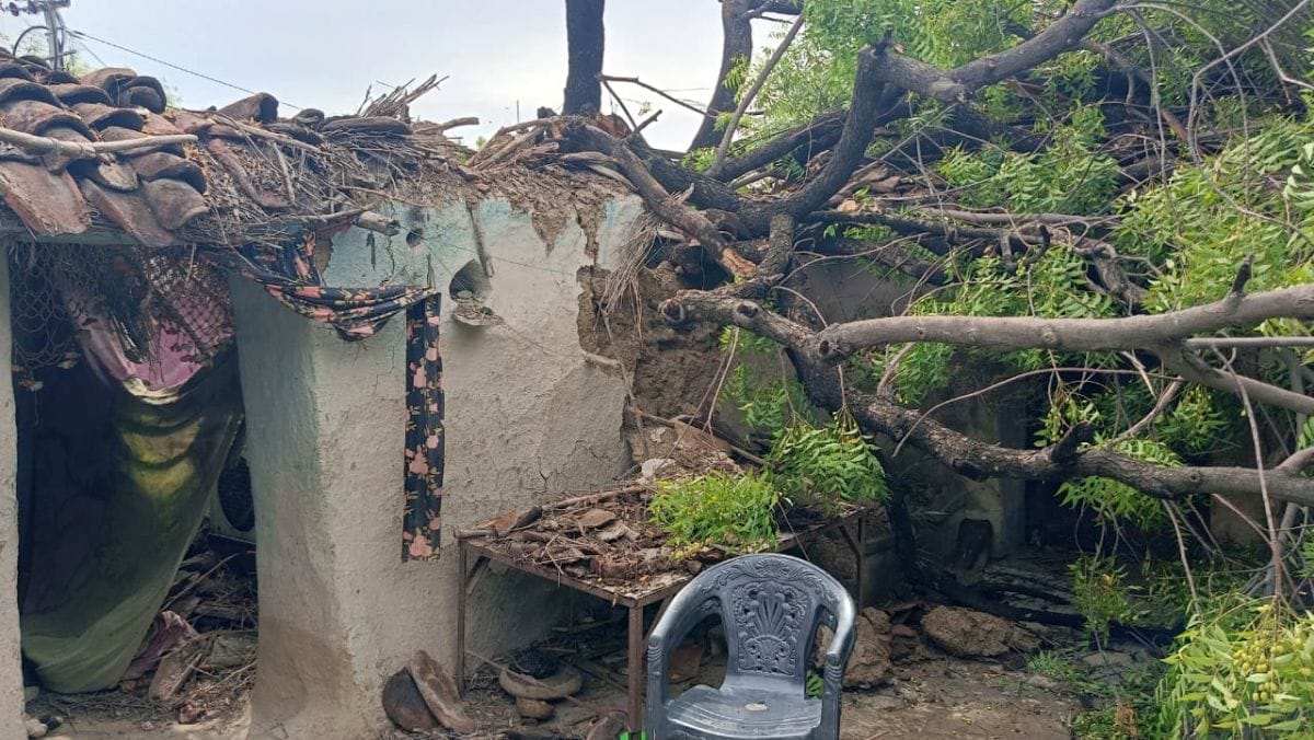 फोटो 29 एमएएचपी 17 परिचय-बघवा खोड़ा गांव में पेड़ टूटकर गिरने से क्षतिग्रस्त स्कॉर्पियो। संवाद फोटो 29 एमएएचपी 17 परिचय-बघवा खोड़ा गांव में पेड़ टूटकर गिरने से क्षतिग्रस्त स्कॉर्पियो। संवाद