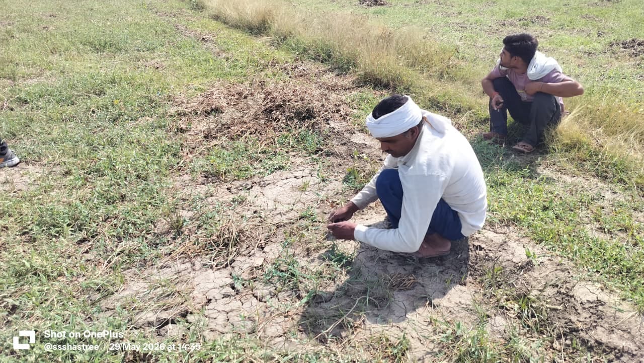 फोटो - 31 कोंच मंडी में बारिश के बाद भींगे गेहूं के बोरे। संवाद फोटो - 31 कोंच मंडी में बारिश के बाद भींगे गेहूं के बोरे। संवाद
