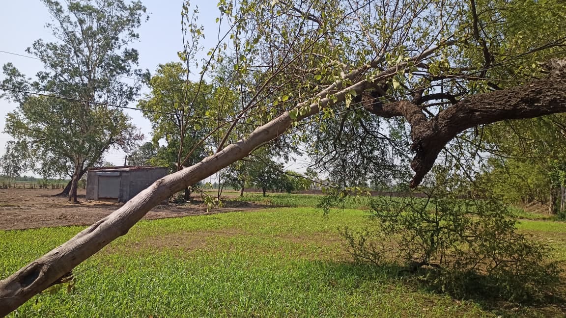 जटहेड़ी गांव के मोड़ पर टूटा बिजली का तार। संवाद