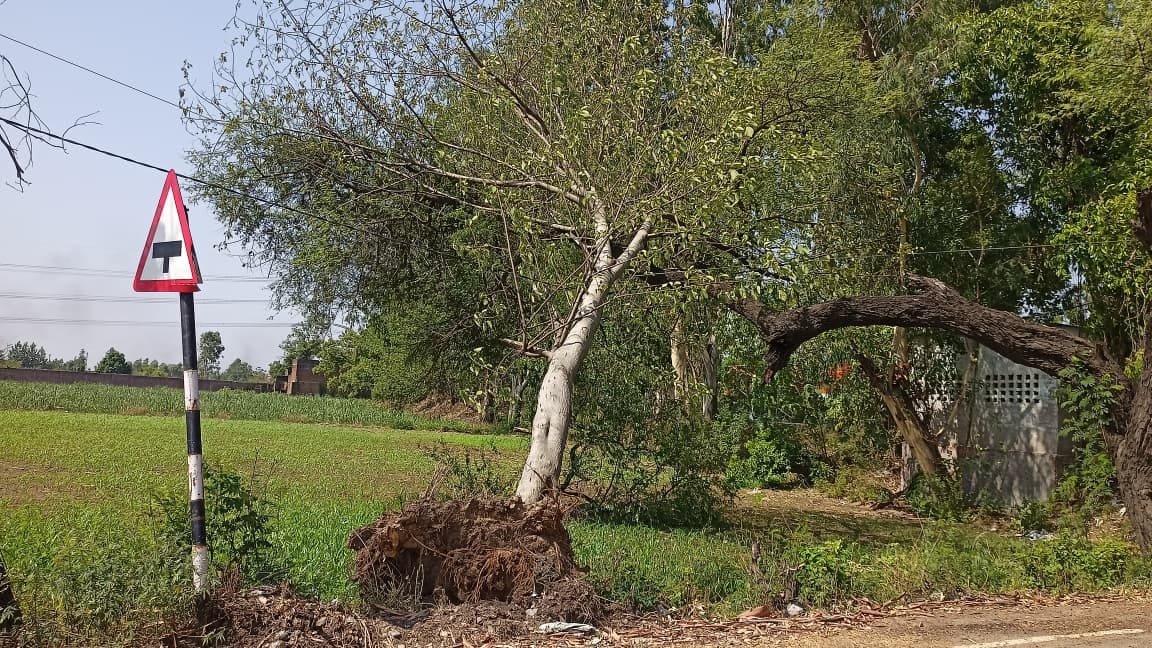 जटहेड़ी गांव के मोड़ पर टूटा बिजली का तार। संवाद