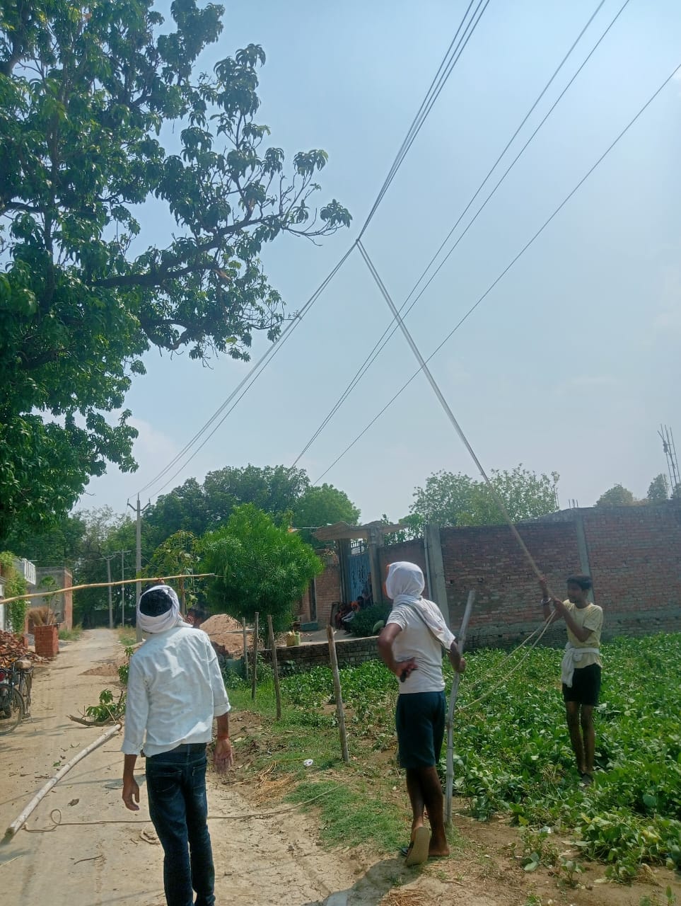 लाइन सही करते  गोपसहासा विद्युत विभाग के कर्मचारी। संवाद