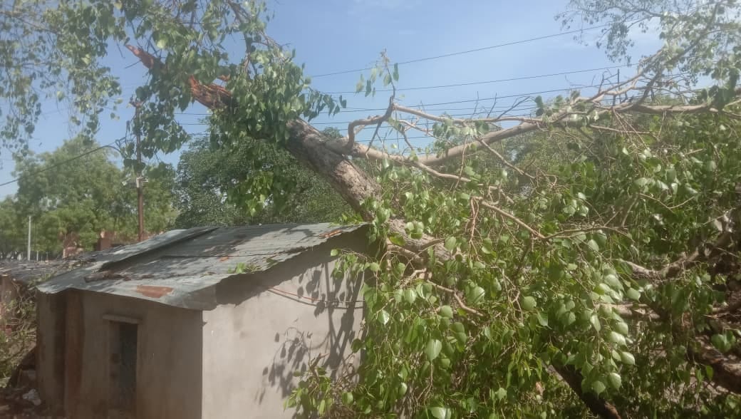 नटवा उपकेंद्र में ट्रांसफार्मर में लगी आग, स्रोत सोशल मीडिया