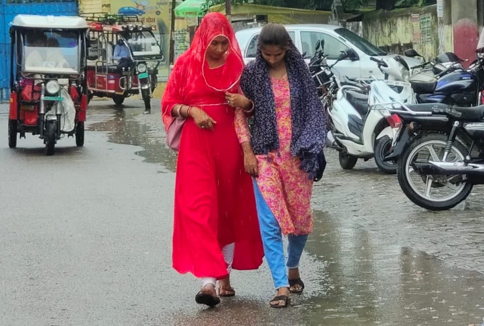 सिंगाही कस्बे में आंधी-बारिश में हाईवे किनारे नीम का पेड़ गिरा।संवाद सिंगाही कस्बे में आंधी-बारिश में हाईवे किनारे नीम का पेड़ गिरा।संवाद