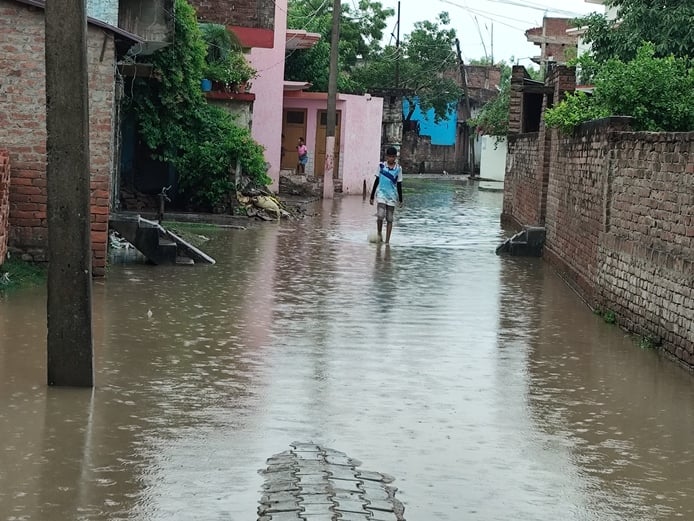 सिंगाही कस्बे में आंधी-बारिश में हाईवे किनारे नीम का पेड़ गिरा।संवाद सिंगाही कस्बे में आंधी-बारिश में हाईवे किनारे नीम का पेड़ गिरा।संवाद