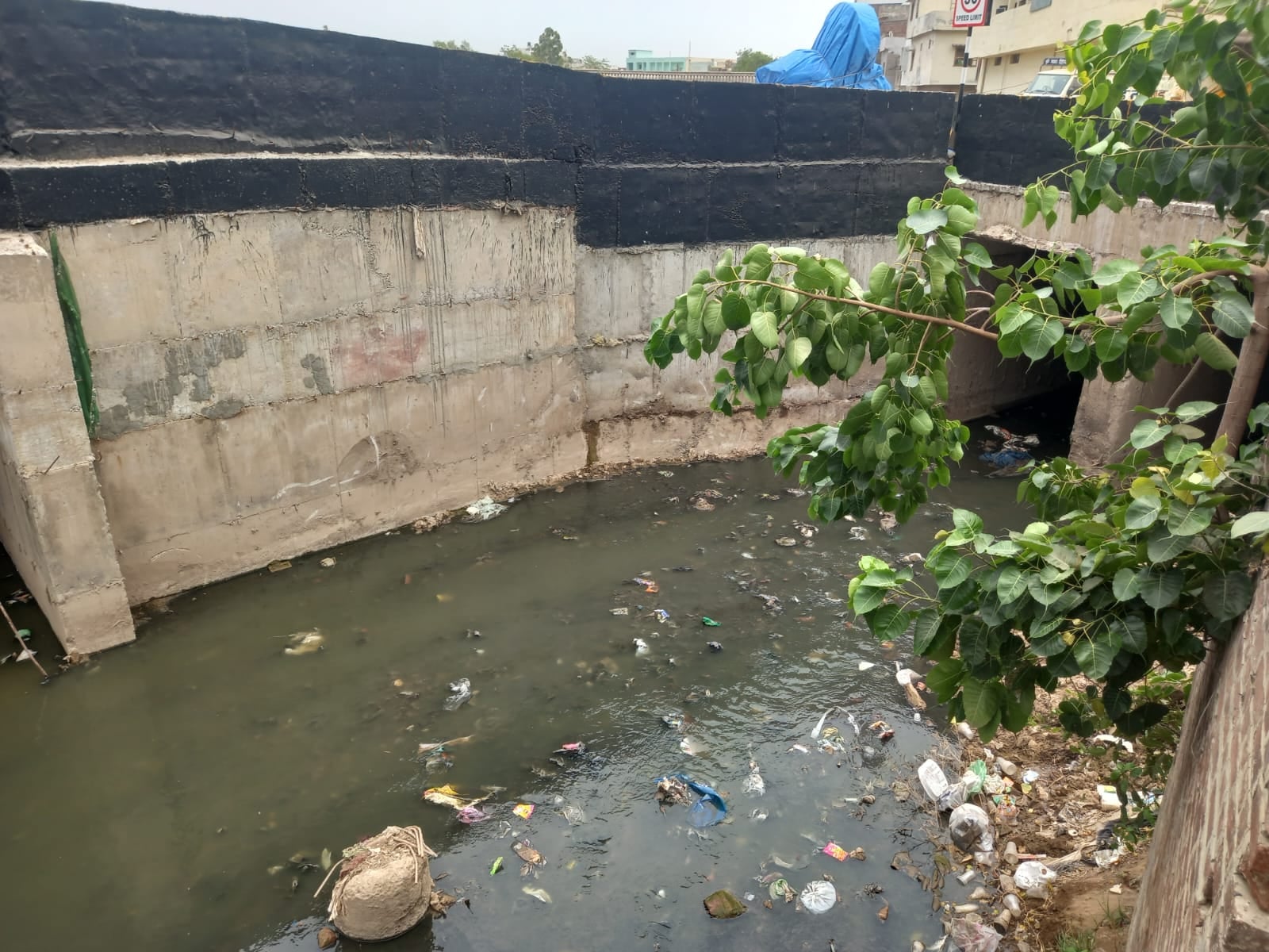 अंबाला छावनी में सेवा समिति स्कूल के पास गंदगी से अटा नाला। संवाद