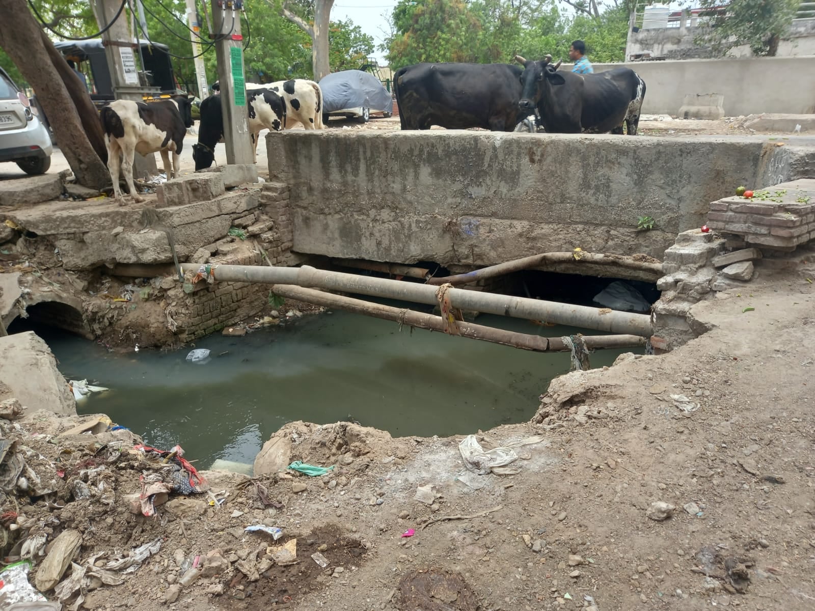 अंबाला छावनी में सेवा समिति स्कूल के पास गंदगी से अटा नाला। संवाद