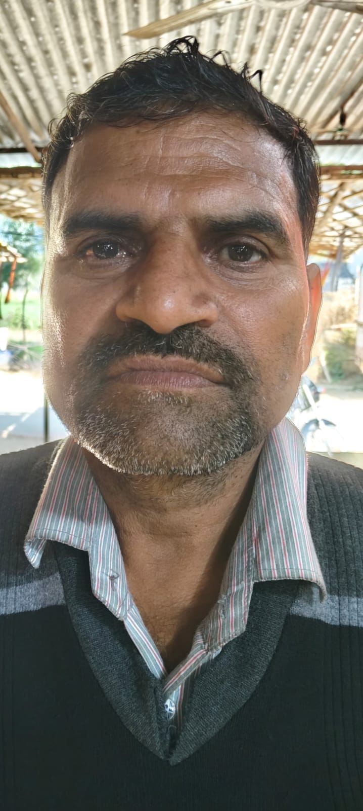 फोटो-37- रुरुगंज में कटी पड़ी मूंग की फसल में भरा पानी। संवाद फोटो-37- रुरुगंज में कटी पड़ी मूंग की फसल में भरा पानी। संवाद