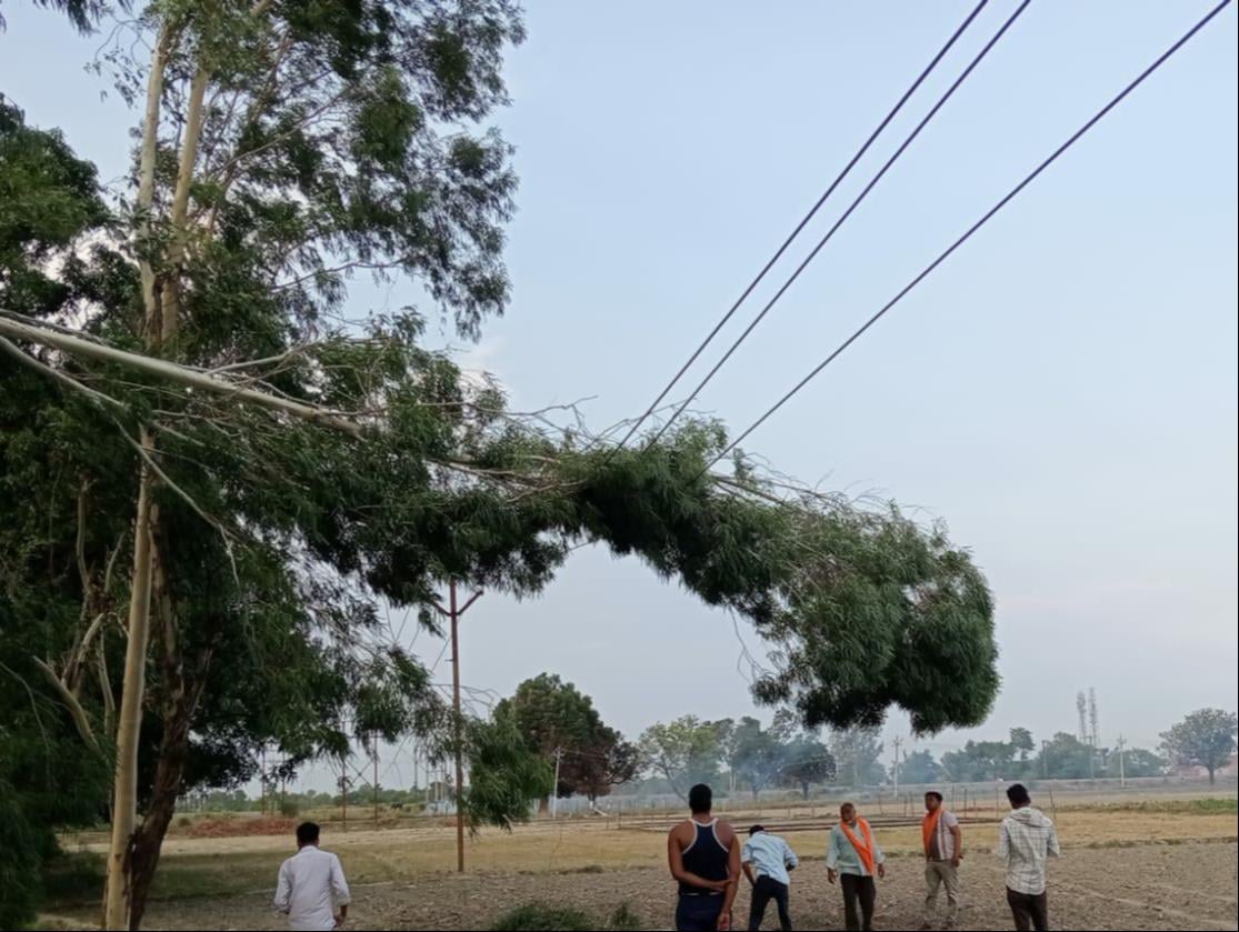 आंधी के कारण टूटे बिजली के खंभे और तार।