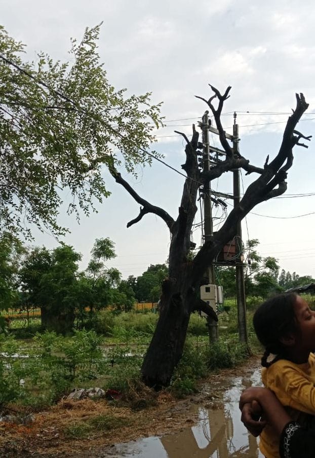 आंधी के कारण टूटे बिजली के खंभे और तार।