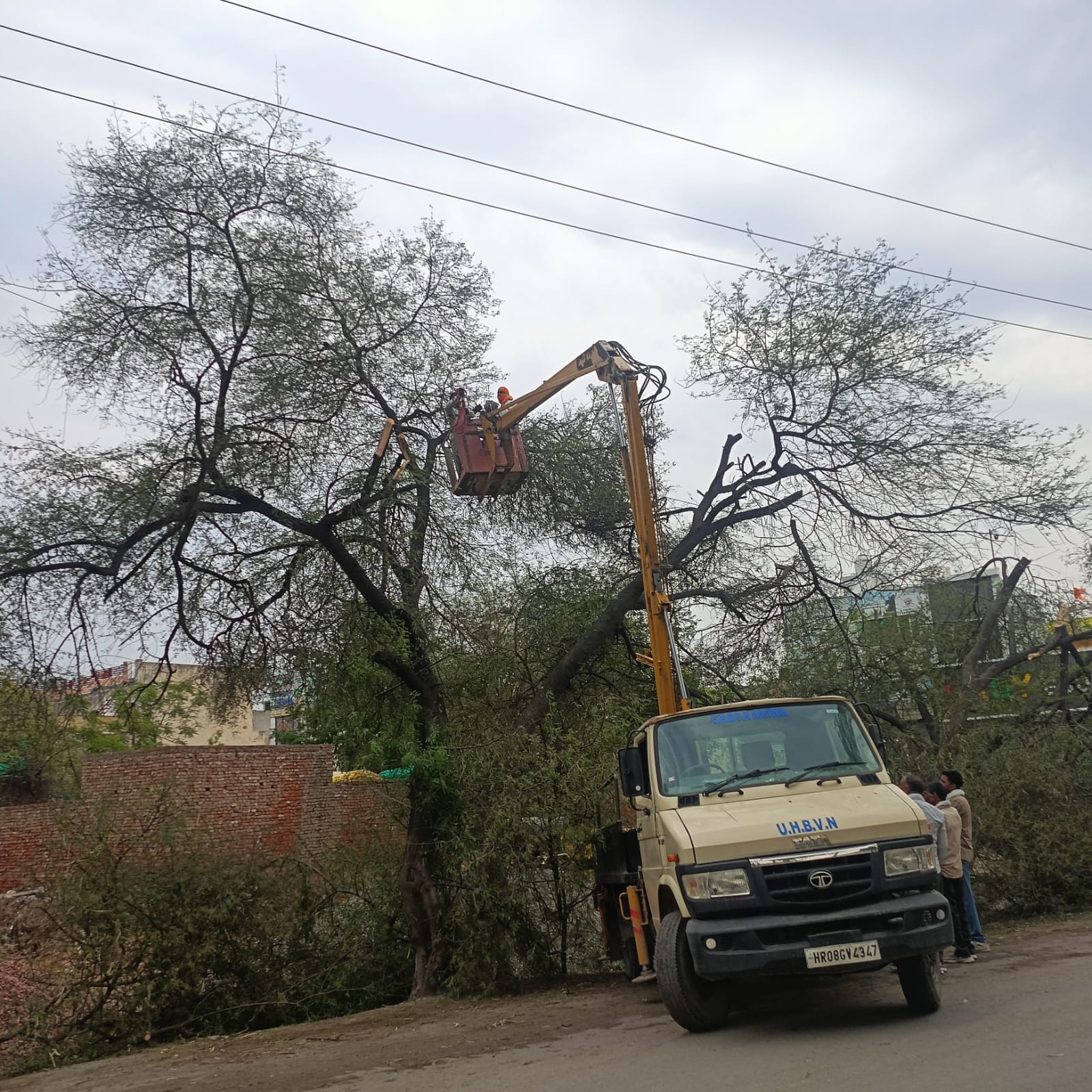 पेड़ों की टहनियों को हटाते बिजली निगम के कर्मचारी। संवाद पेड़ों की टहनियों को हटाते बिजली निगम के कर्मचारी। संवाद