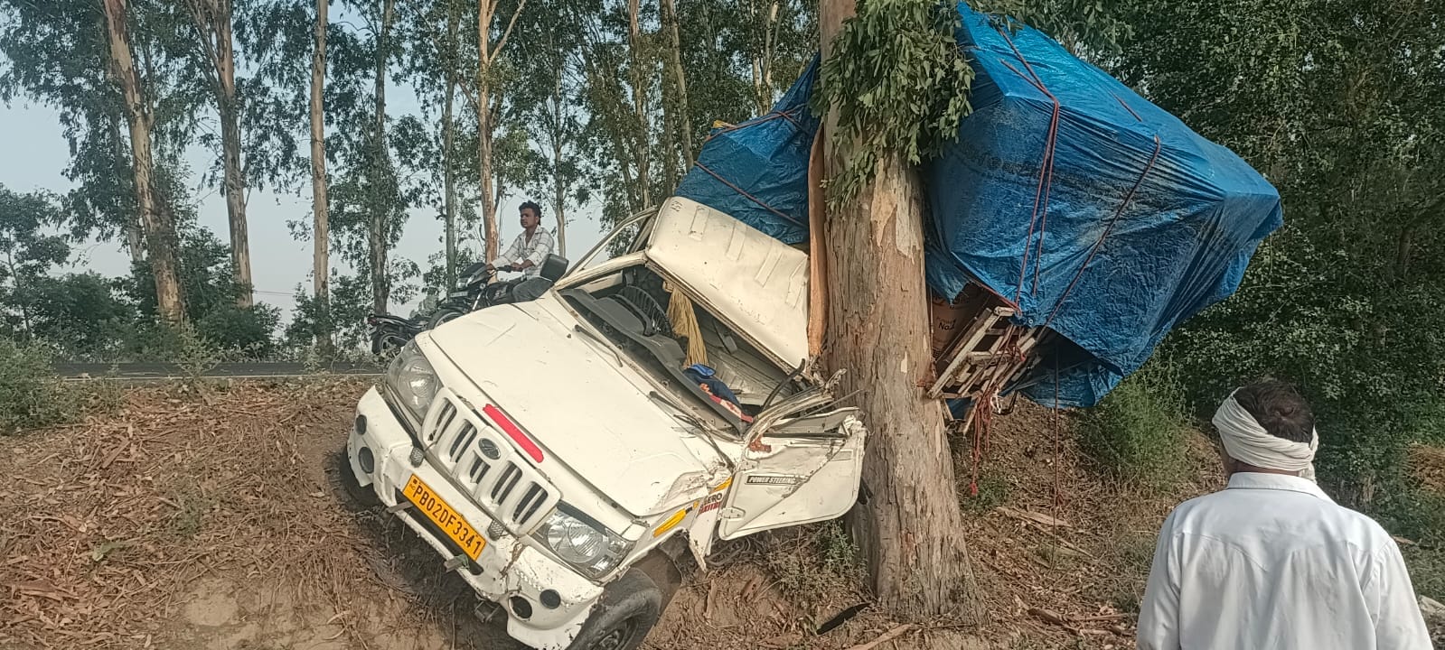 राजौंद-कैथल मार्ग पर सफेदे से टकराई  पिकअप गाड़ी क्षतिग्रस्त।