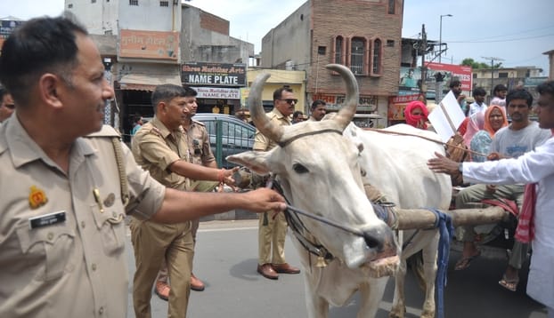 तहसील चौराहे पर तांगे में बैठकर प्रदर्शन करती सपा की महिला कार्यकर्ता।संवाद
