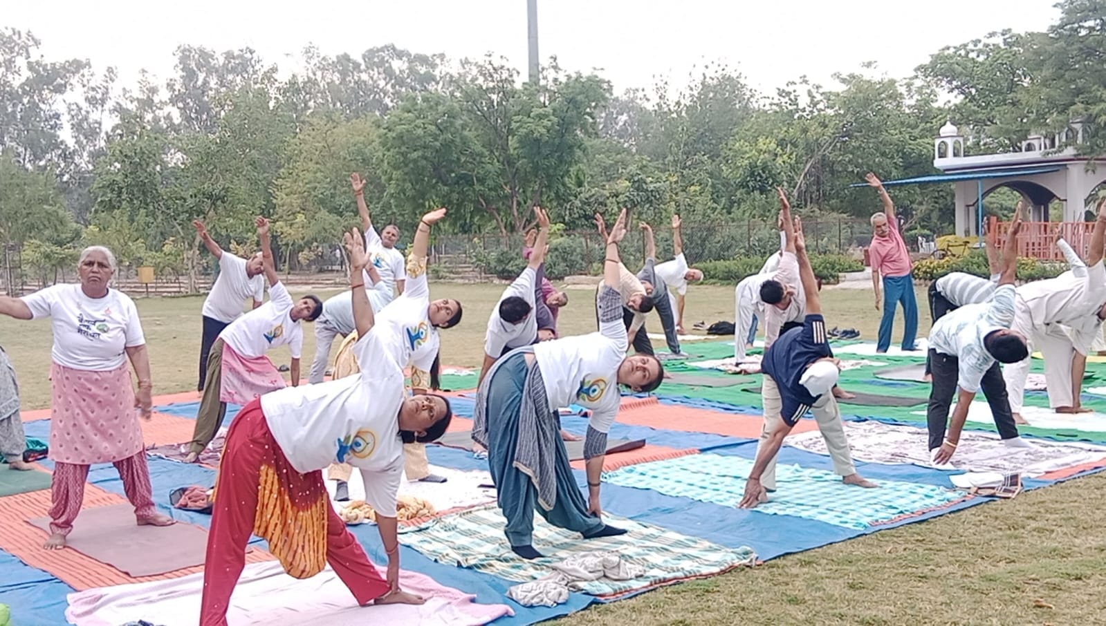 योग प्रोटोकॉल प्रशिक्षण शिविर में योग करते साधक।