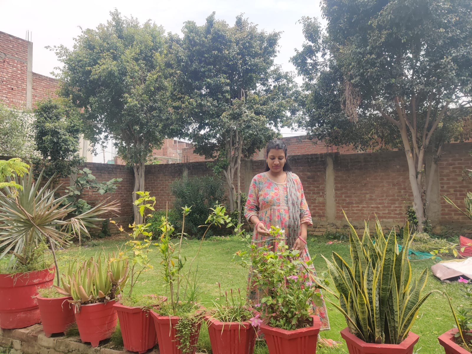 फोटो 26 घर के आंगन में लगाए पौधों को पानी देतीं प्राचार्य प्रो़ डॉ़ शेफाली यादव। संवाद