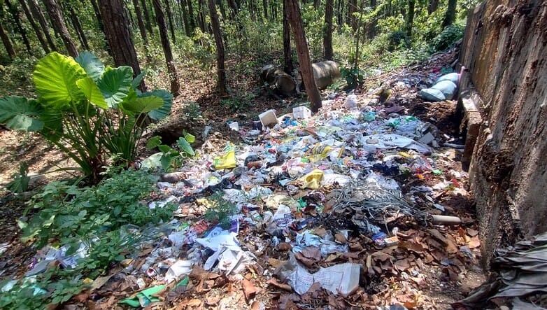 रिंग रोड की ओर जाने वाले मार्ग पर लाडपुर के जंगल में लगा कूड़े का ढेर। संवाद