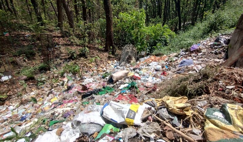 रिंग रोड की ओर जाने वाले मार्ग पर लाडपुर के जंगल में लगा कूड़े का ढेर। संवाद