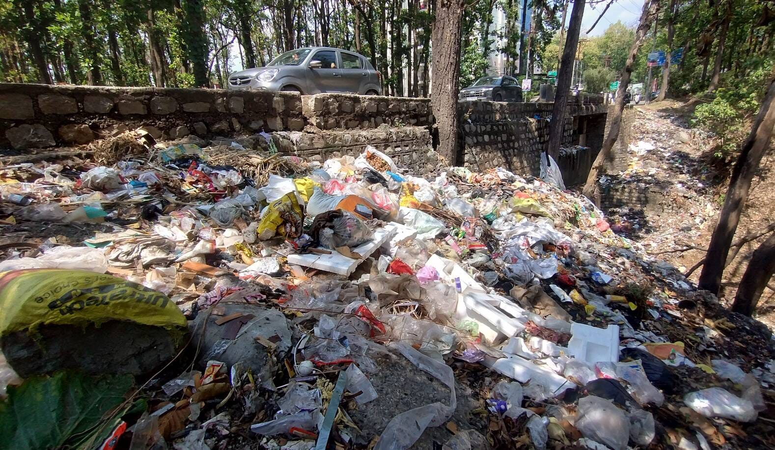 रिंग रोड की ओर जाने वाले मार्ग पर लाडपुर के जंगल में लगा कूड़े का ढेर। संवाद