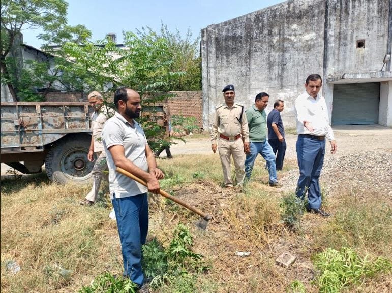 चीनी मिल में सफाई अभियान चलाते कर्मचारी व अन्य। संस्था
