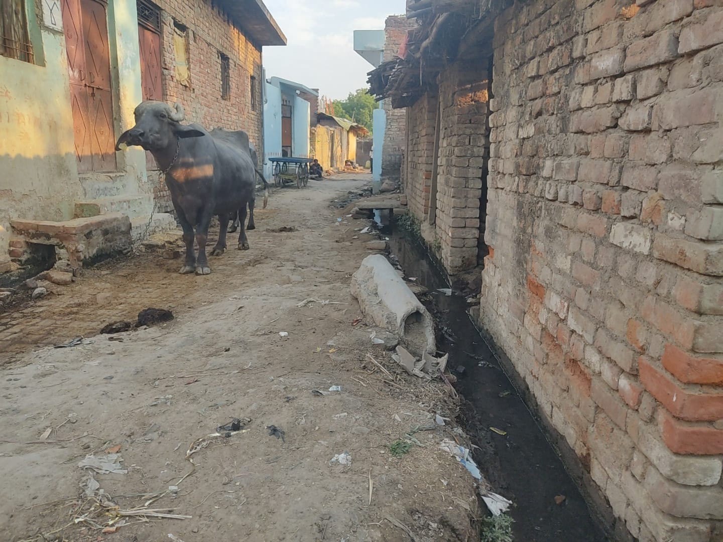 गांधीनगर गंदगी से पटी नाली और सड़क पर भरा पानी। संवाद गांधीनगर गंदगी से पटी नाली और सड़क पर भरा पानी। संवाद