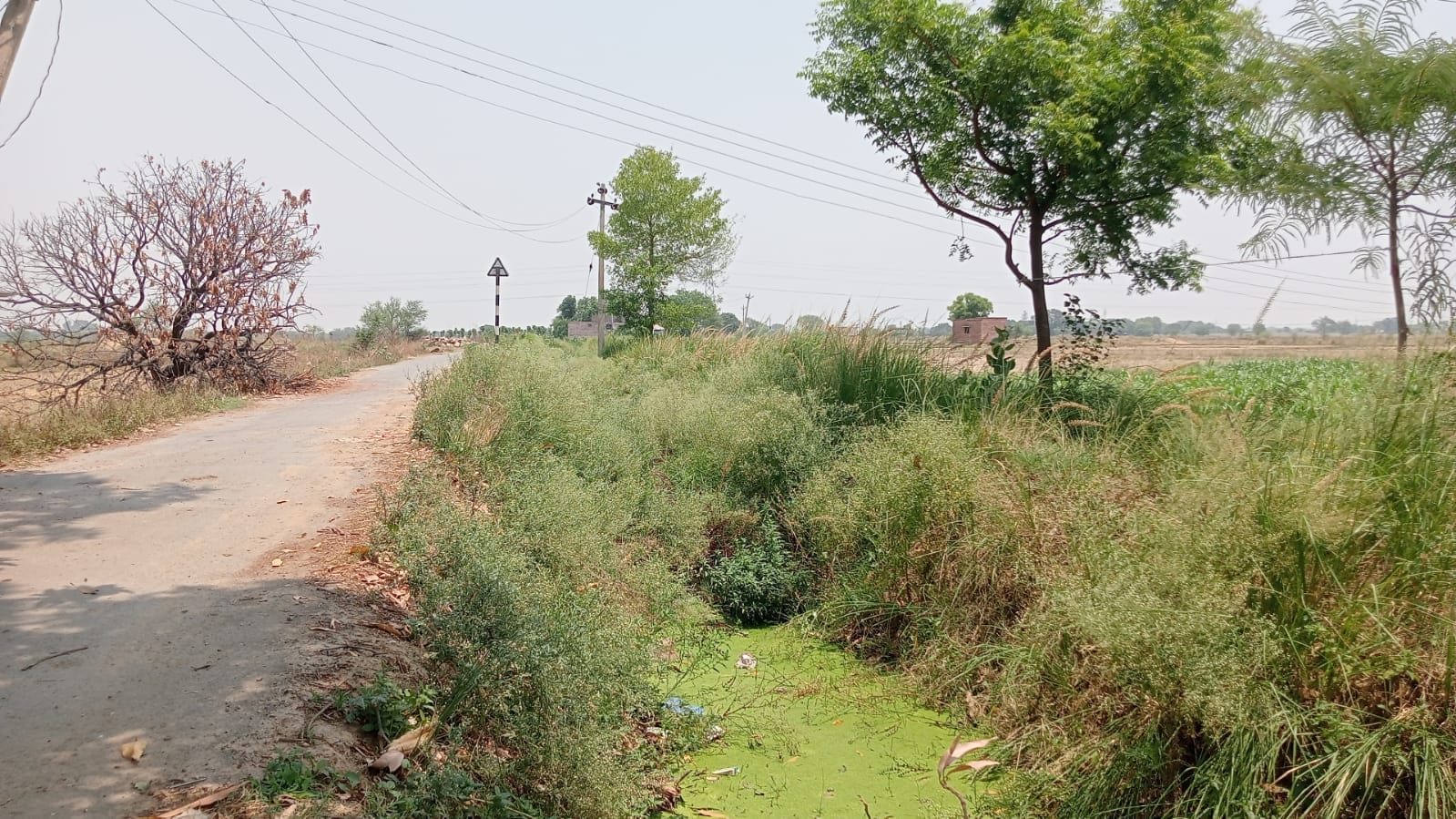 हिनौती बांध से निकली नहर की क्षतिग्रस्त तलहटी।- संवाद।