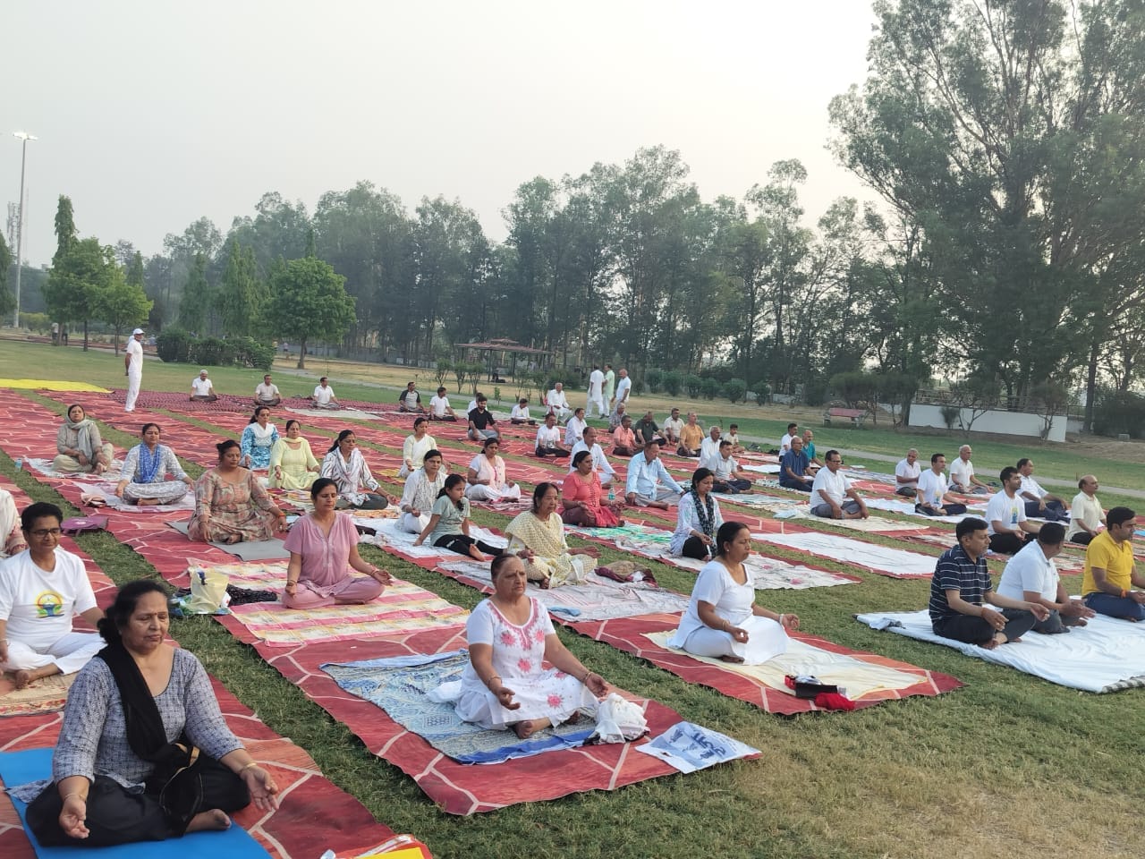 सेक्टर 20 के हुड्डा पार्क में योगाभ्यास करते साधक। संस्था