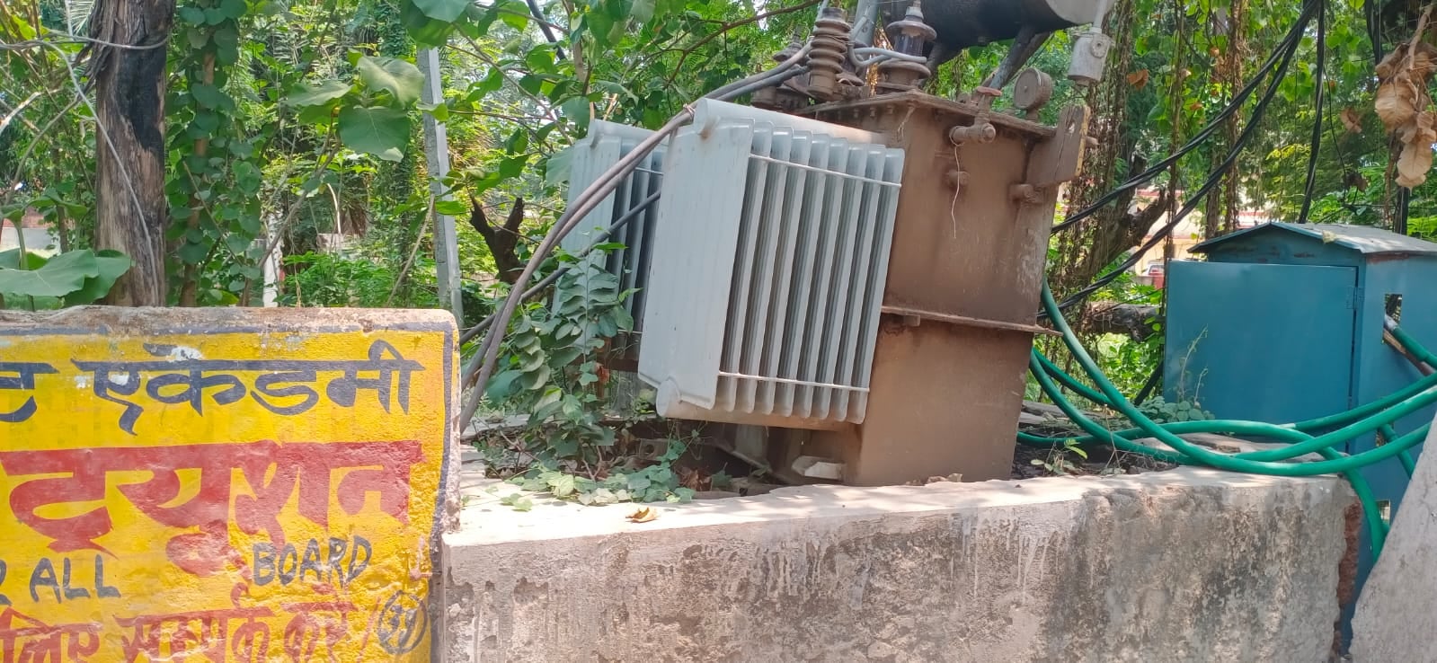 फुलवारी में पेड़ की टहनियों के बीच से गुजरा बिजली का तार-संवाद