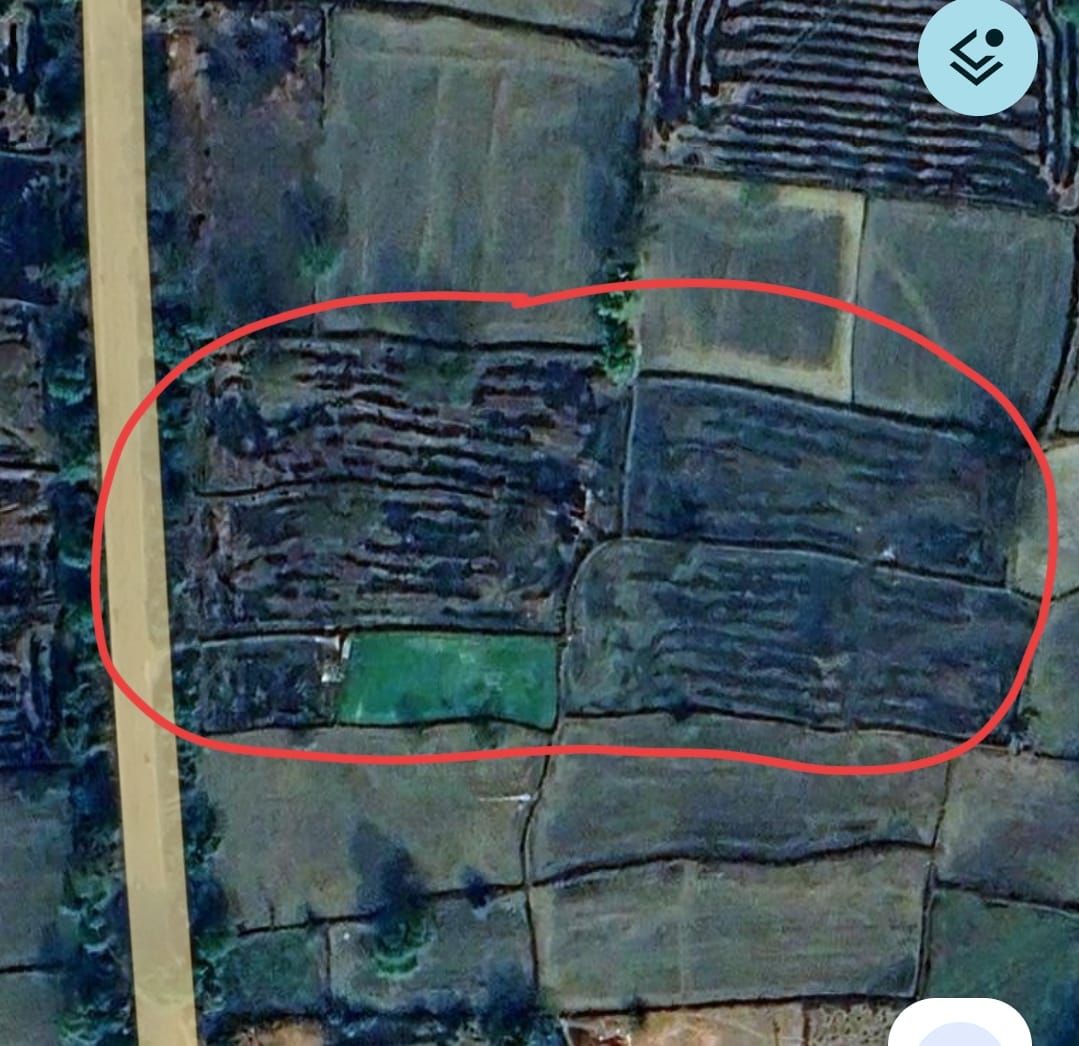 ठग गिरफ्तार 
