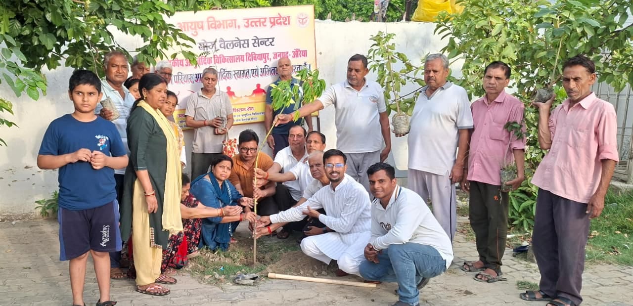 फोटो- 29- पौधा रोपने के बाद पानी डालते डीएम। स्रोत:प्रशासन फोटो- 29- पौधा रोपने के बाद पानी डालते डीएम। स्रोत:प्रशासन