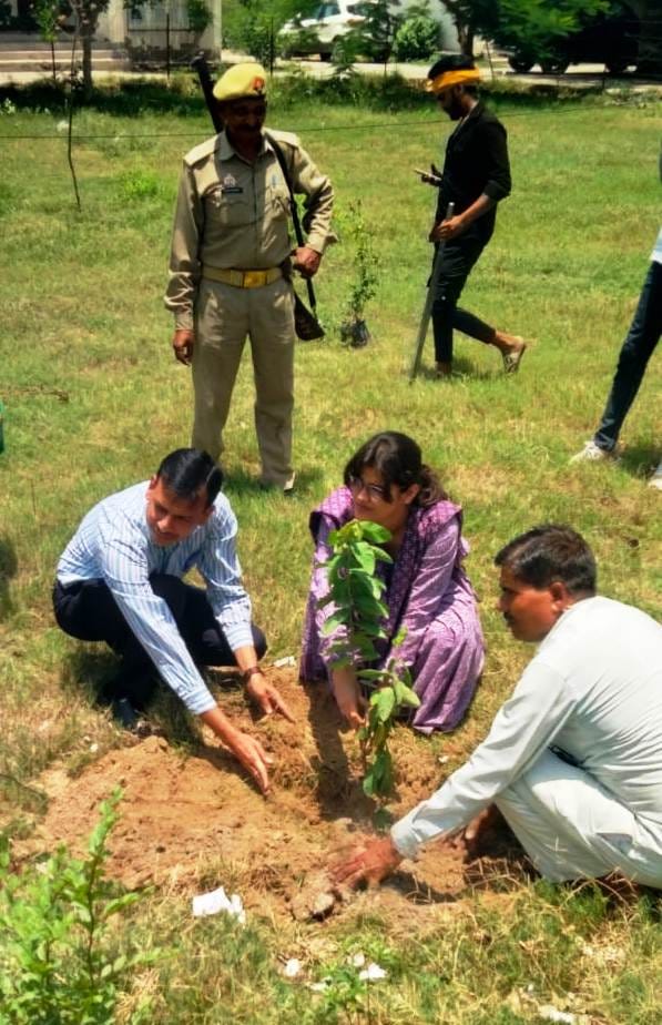 फोटो- 29- पौधा रोपने के बाद पानी डालते डीएम। स्रोत:प्रशासन फोटो- 29- पौधा रोपने के बाद पानी डालते डीएम। स्रोत:प्रशासन
