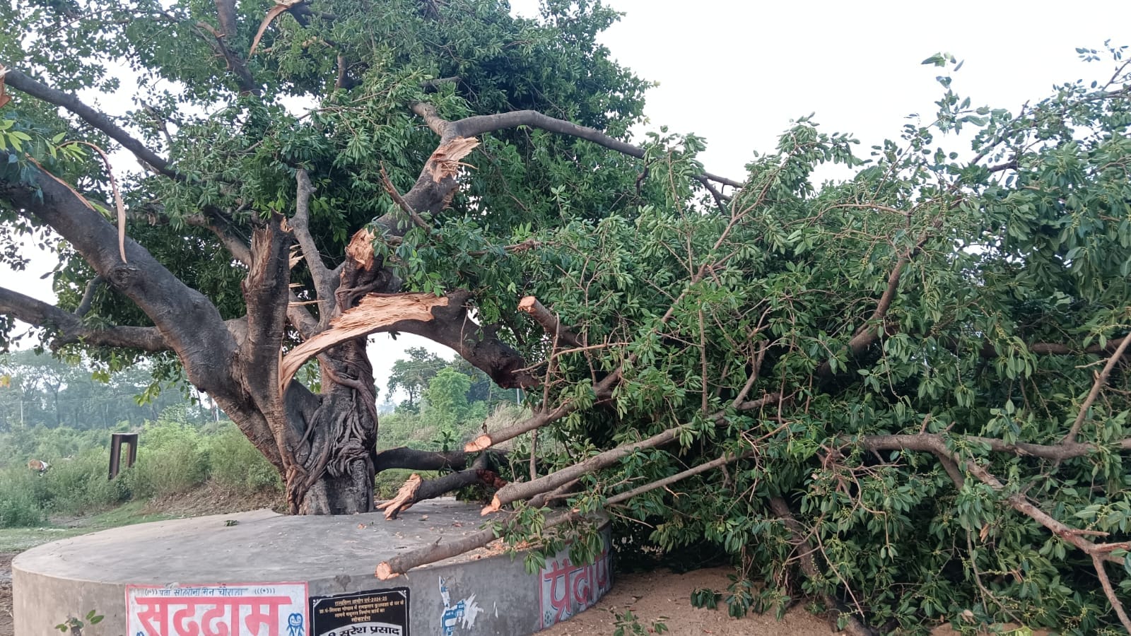 खडडा क्षेत्र के सिसवा गोपाल गाँव में आए बवंडर से हुआ नुकसान खडडा क्षेत्र के सिसवा गोपाल गाँव में आए बवंडर से हुआ नुकसान