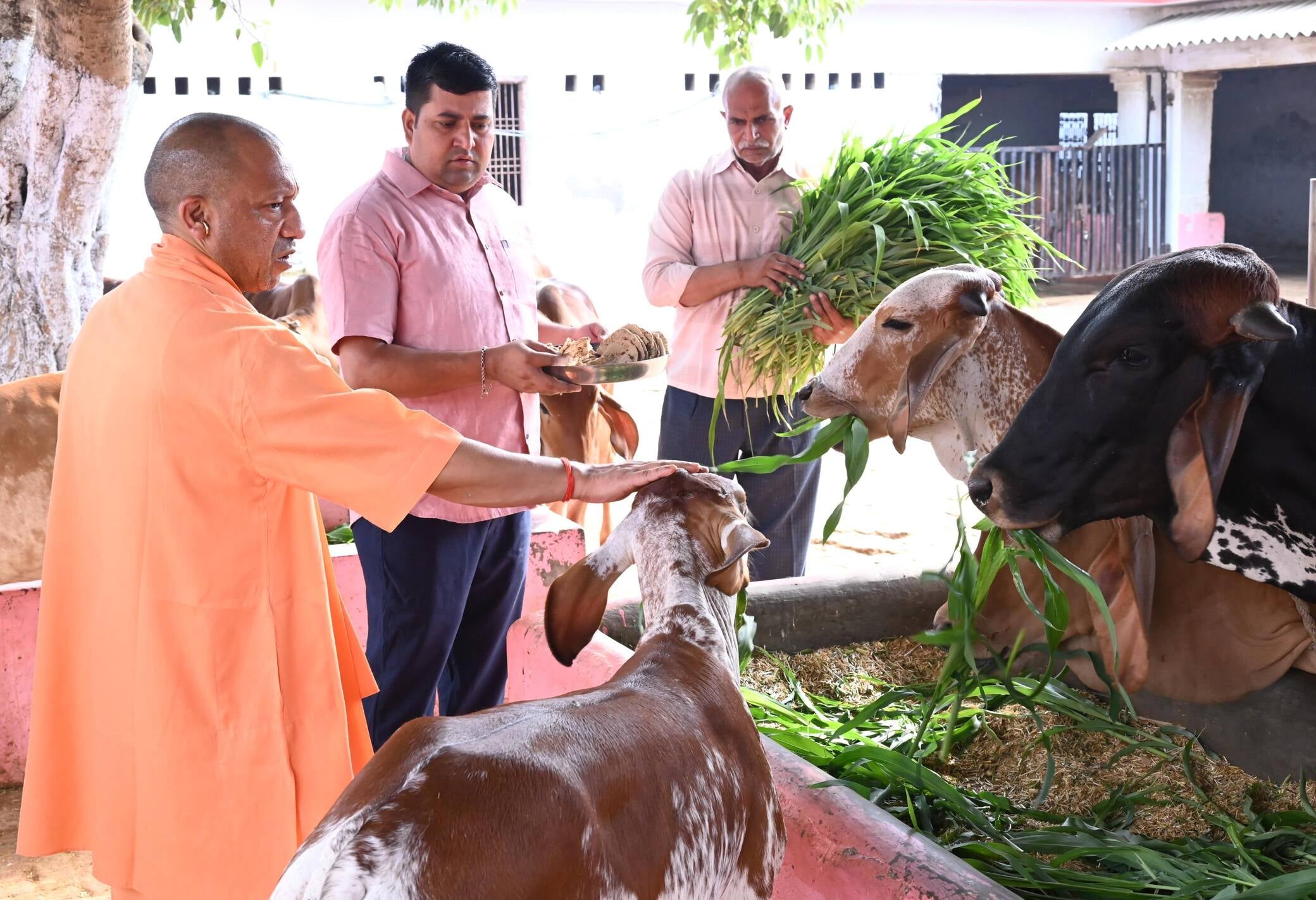 फोटो- 15- तुलसीपुर देवीपाटन मंदिर में पूजन करते मुख्यमंत्री योगी आदित्यनाथ। स्रोत मंदिर प्रशासन