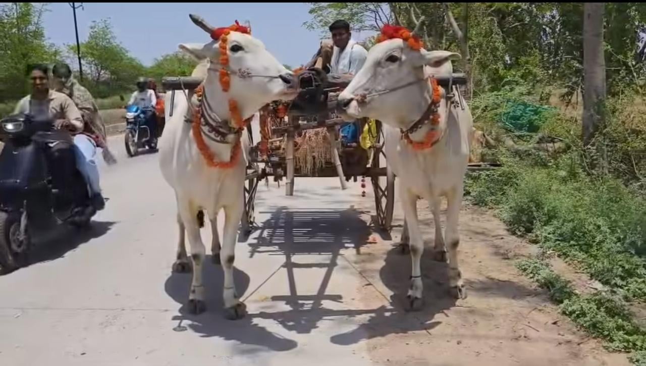 फोटो - 28 मेडिकल कॉलेज में कैबिनेट मंत्री मनोज पांडेय का स्वागत करते संयोजक सुदामा दीक्षित व अन