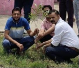 शहर के अटल पार्क में पौधरोपण करते एमएलसी मोहित बेनिवाल। कार्यकर्ता।